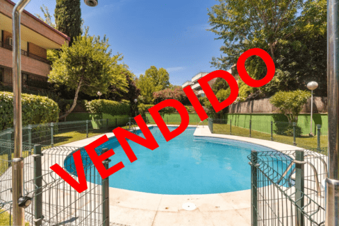 VENDIDO ARAVACA